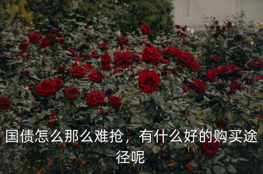 國(guó)債怎么那么難搶，有什么好的購(gòu)買途徑呢