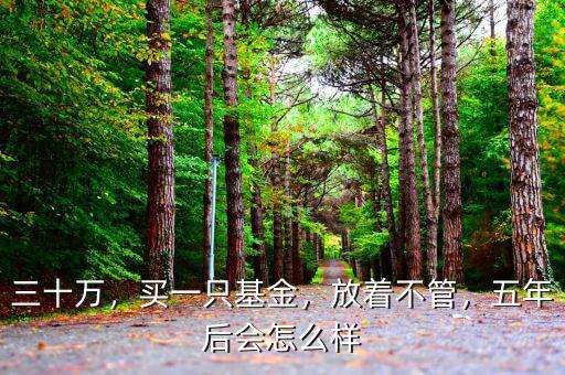 三十萬，買一只基金，放著不管，五年后會怎么樣