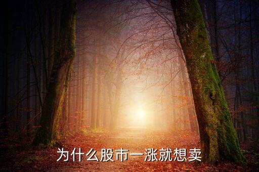 喜達(dá)屋為什么要賣(mài),為什么要投資社區(qū)型商鋪