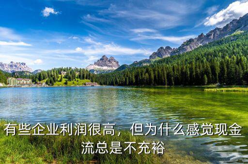有些企業(yè)利潤很高，但為什么感覺現(xiàn)金流總是不充裕