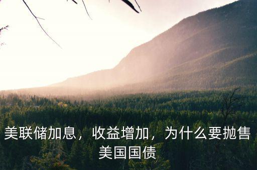 美聯(lián)儲加息，收益增加，為什么要拋售美國國債