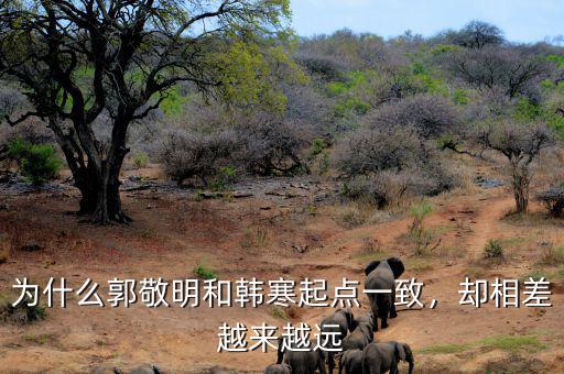 為什么郭敬明和韓寒起點(diǎn)一致，卻相差越來(lái)越遠(yuǎn)
