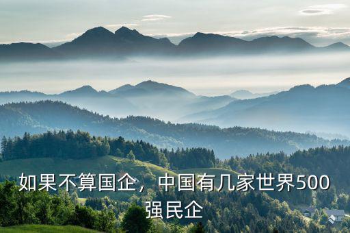 如果不算國企，中國有幾家世界500強(qiáng)民企