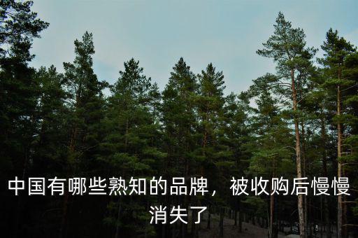 中國(guó)有哪些熟知的品牌，被收購(gòu)后慢慢消失了