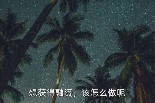 想獲得融資，該怎么做呢