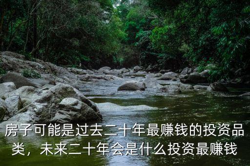 房子可能是過去二十年最賺錢的投資品類，未來二十年會是什么投資最賺錢