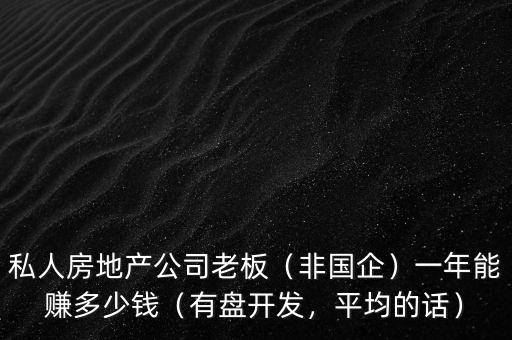私人房地產公司老板（非國企）一年能賺多少錢（有盤開發(fā)，平均的話）