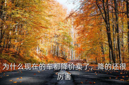 為什么現(xiàn)在的車都降價賣了，降的還很厲害