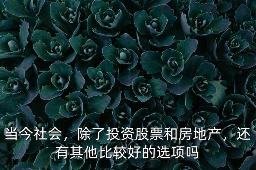 當(dāng)今社會，除了投資股票和房地產(chǎn)，還有其他比較好的選項嗎