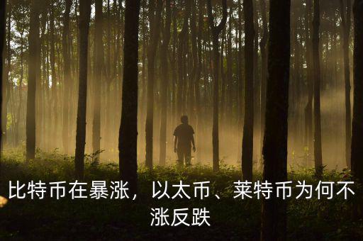 比特幣在暴漲，以太幣、萊特幣為何不漲反跌