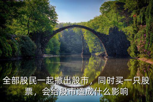 全部股民一起撤出股市，同時買一只股票，會給股市造成什么影響