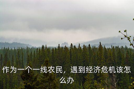 作為一個(gè)一線農(nóng)民，遇到經(jīng)濟(jì)危機(jī)該怎么辦