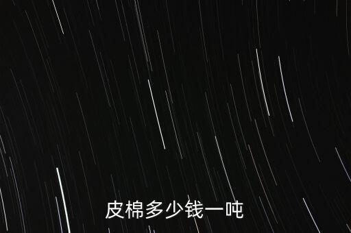 皮棉多少錢(qián)一噸