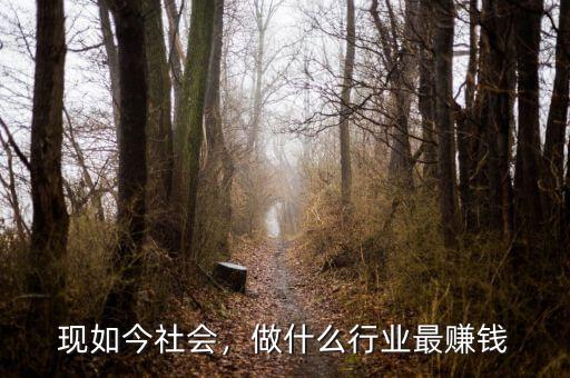 現(xiàn)如今社會(huì)，做什么行業(yè)最賺錢