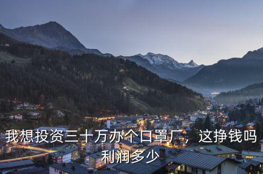 我想投資三十萬辦個口罩廠，這掙錢嗎利潤多少