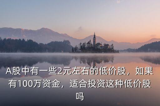 A股中有一些2元左右的低價(jià)股，如果有100萬(wàn)資金，適合投資這種低價(jià)股嗎