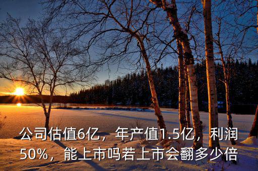 公司估值6億，年產(chǎn)值1.5億，利潤(rùn)50%，能上市嗎若上市會(huì)翻多少倍