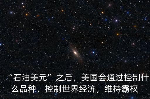 “石油美元”之后，美國會通過控制什么品種，控制世界經(jīng)濟(jì)，維持霸權(quán)