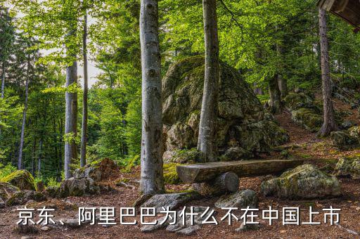 京東、阿里巴巴為什么不在中國上市