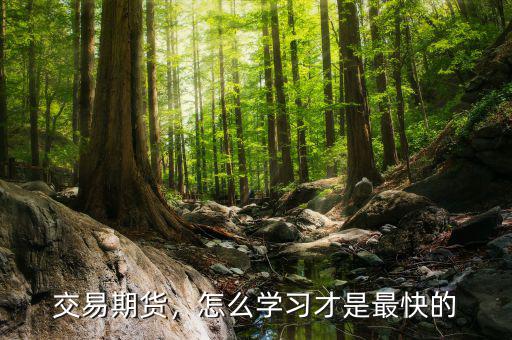 交易期貨，怎么學(xué)習(xí)才是最快的