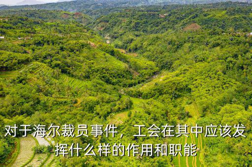 對(duì)于海爾裁員事件，工會(huì)在其中應(yīng)該發(fā)揮什么樣的作用和職能