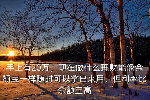 手上有20萬，現(xiàn)在做什么理財能像余額寶一樣隨時可以拿出來用，但利率比余額寶高