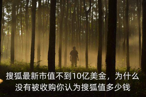 搜狐最新市值不到10億美金，為什么沒有被收購你認(rèn)為搜狐值多少錢