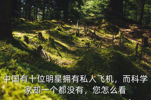 中國有十位明星擁有私人飛機，而科學(xué)家卻一個都沒有，您怎么看