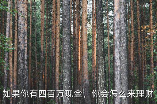 如果你有四百萬現(xiàn)金，你會怎么來理財