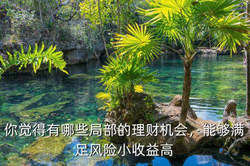 你覺(jué)得有哪些局部的理財(cái)機(jī)會(huì)，能夠滿足風(fēng)險(xiǎn)小收益高