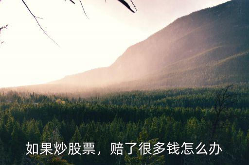 如果炒股票，賠了很多錢怎么辦