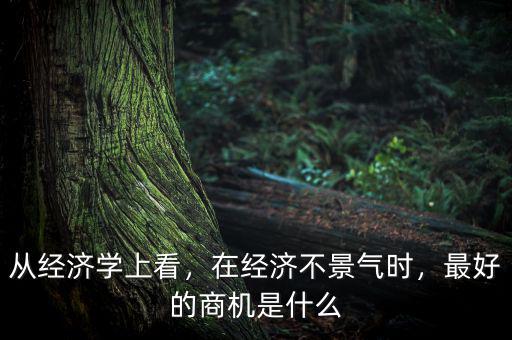 從經(jīng)濟學上看，在經(jīng)濟不景氣時，最好的商機是什么