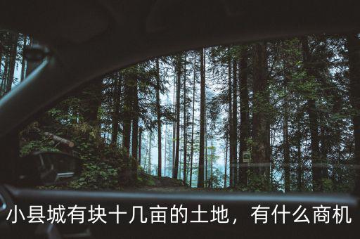 小縣城有塊十幾畝的土地，有什么商機(jī)