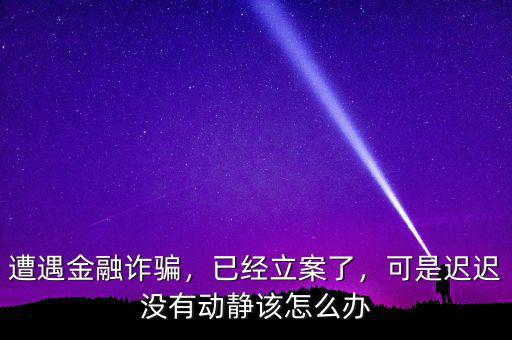 遭遇金融詐騙，已經(jīng)立案了，可是遲遲沒有動靜該怎么辦