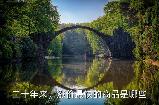 二十年來，漲價最快的商品是哪些
