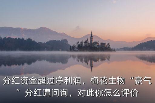 分紅資金超過凈利潤，梅花生物“豪氣”分紅遭問詢，對此你怎么評價