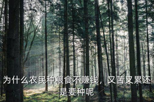 為什么農(nóng)民種糧食不賺錢，又苦又累還是要種呢