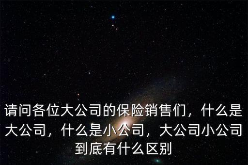 請問各位大公司的保險銷售們，什么是大公司，什么是小公司，大公司小公司到底有什么區(qū)別