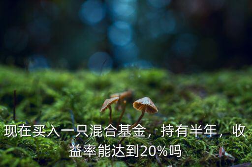 現(xiàn)在買入一只混合基金，持有半年，收益率能達(dá)到20%嗎