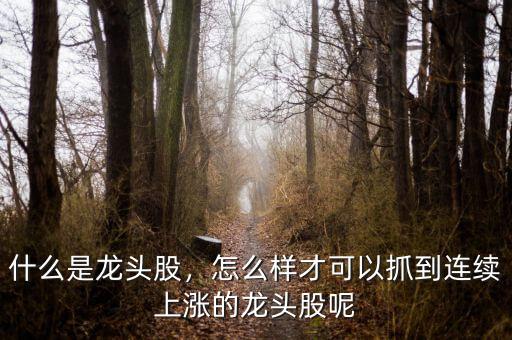 什么是龍頭股，怎么樣才可以抓到連續(xù)上漲的龍頭股呢