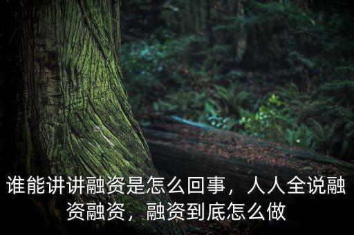 誰能講講融資是怎么回事，人人全說融資融資，融資到底怎么做