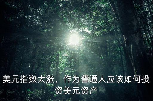 美元指數(shù)大漲，作為普通人應(yīng)該如何投資美元資產(chǎn)