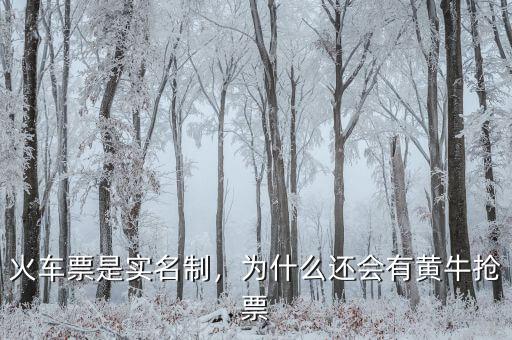 火車票是實(shí)名制，為什么還會(huì)有黃牛搶票
