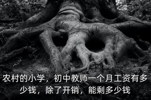 農村的小學，初中教師一個月工資有多少錢，除了開銷，能剩多少錢