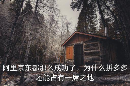 阿里京東都那么成功了，為什么拼多多還能占有一席之地