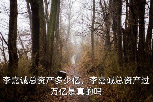 李嘉誠(chéng)總資產(chǎn)多少億，李嘉誠(chéng)總資產(chǎn)過(guò)萬(wàn)億是真的嗎