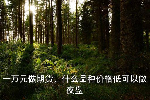 一萬元做期貨，什么品種價(jià)格低可以做夜盤