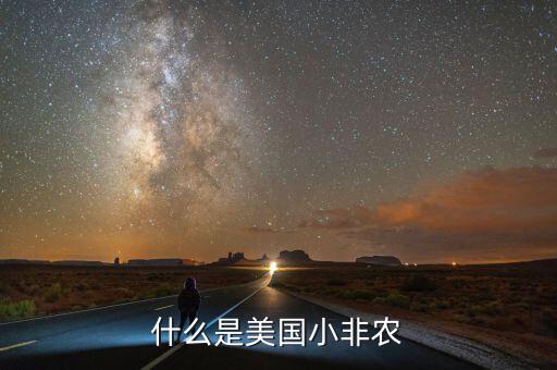 美國非農是什么意思,什么是美國小非農