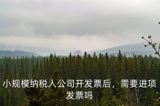 小規(guī)模納稅人公司開發(fā)票后，需要進(jìn)項發(fā)票嗎