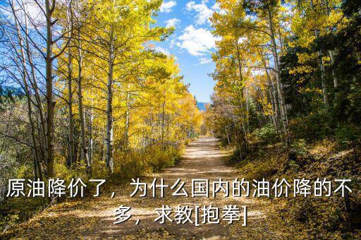 原油降價了，為什么國內(nèi)的油價降的不多，求教[抱拳]